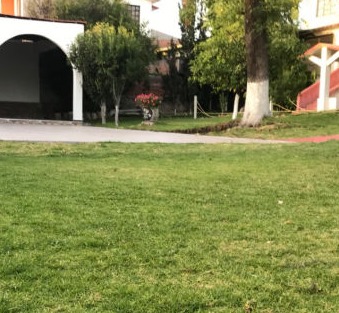 jardin las bugambilias